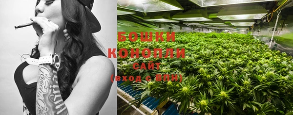 ПСИЛОЦИБИНОВЫЕ ГРИБЫ Майский