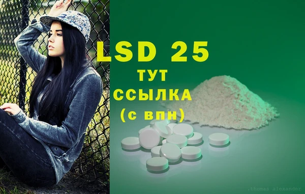 ПСИЛОЦИБИНОВЫЕ ГРИБЫ Майский