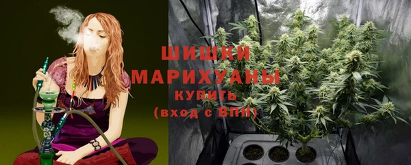 ПСИЛОЦИБИНОВЫЕ ГРИБЫ Майский