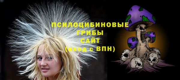 трава Новозыбков