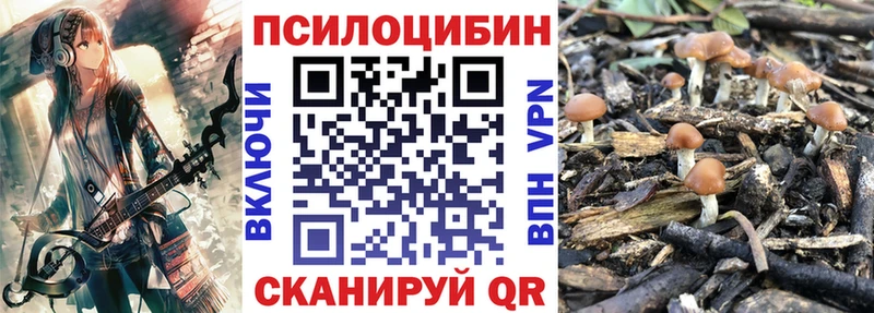 Псилоцибиновые грибы MAGIC MUSHROOMS  дарнет шоп  Туапсе 