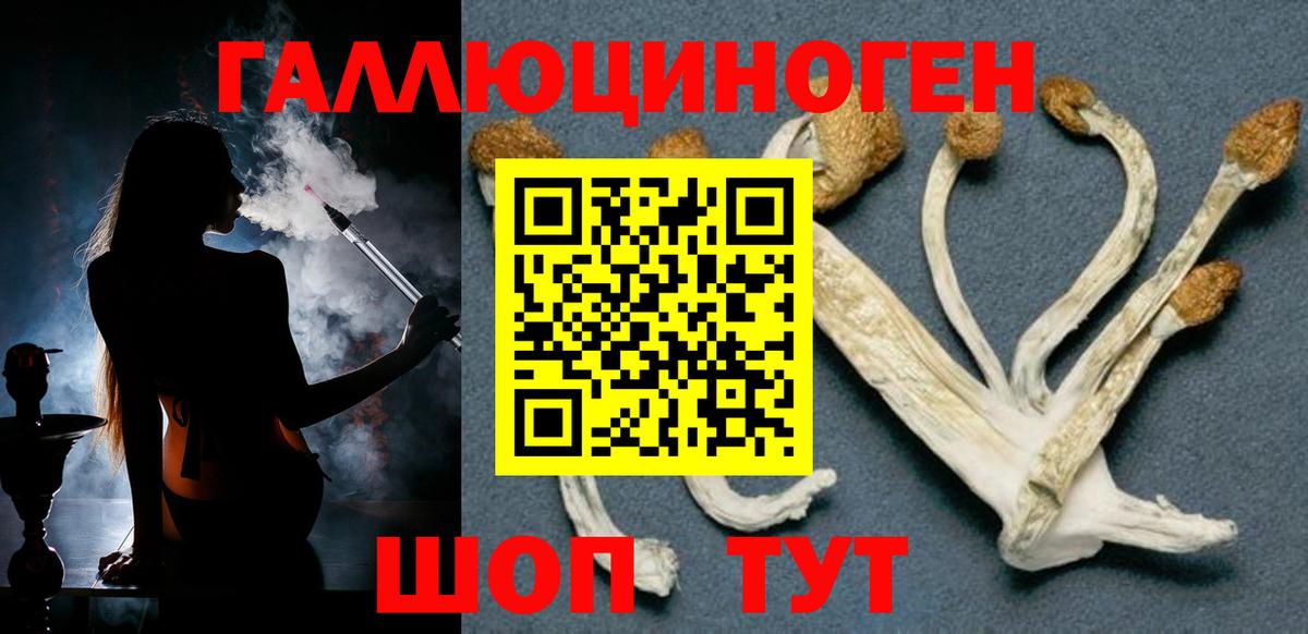 Псилоцибиновые грибы Psilocybe  Вход с VPN  Туапсе 